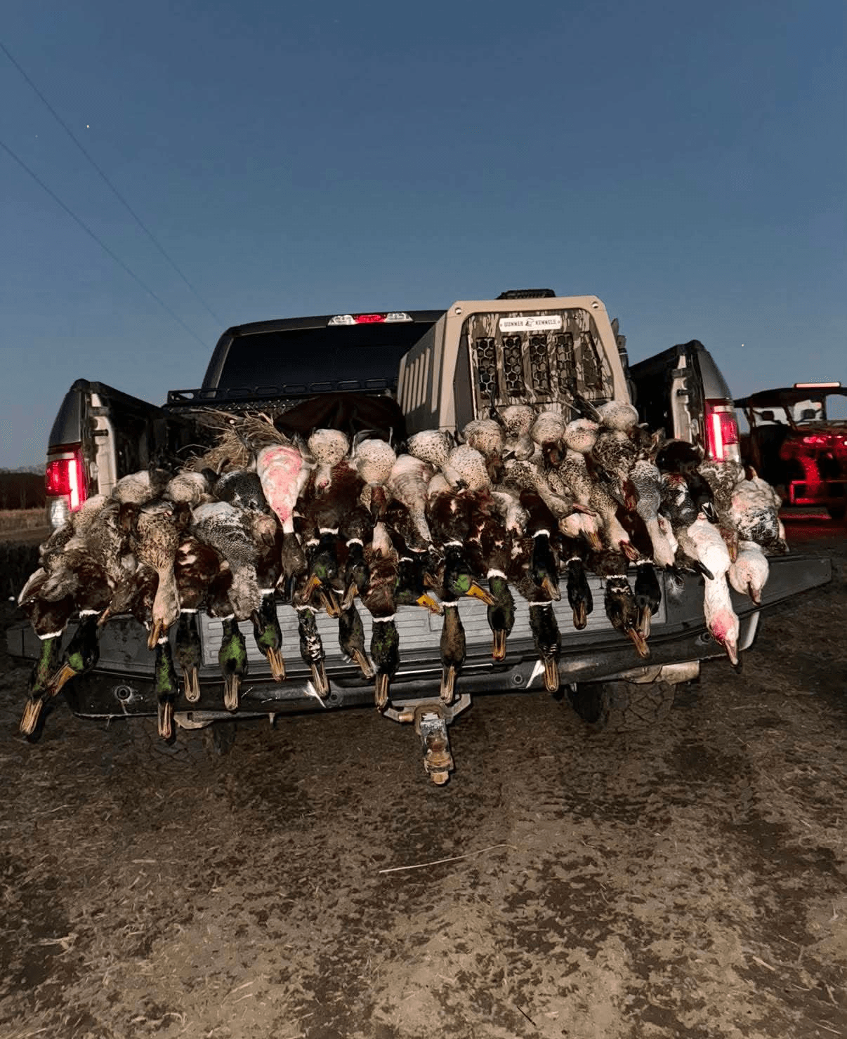 Tailgate Limit